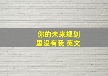 你的未来规划里没有我 英文